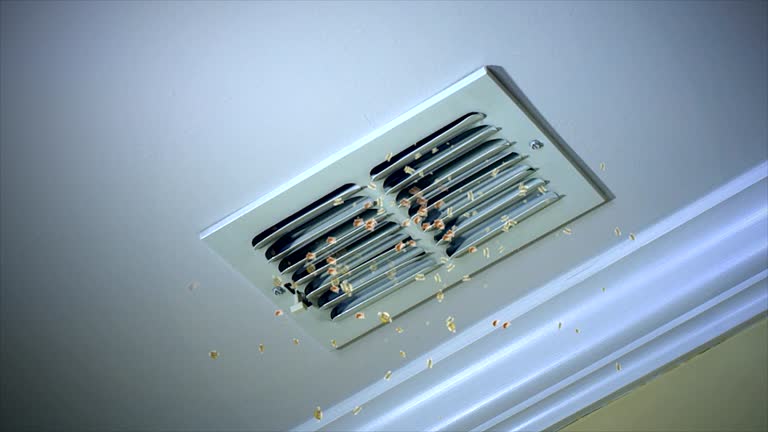Best Best Air Duct Cleaning Company  in Alpharetta, GA