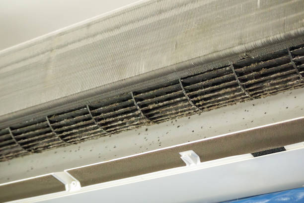 Best Air Duct Cleaning Near Me  in Alpharetta, GA